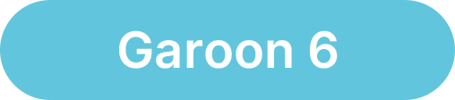 Garoon6